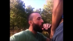 Outdoor Fucking Sucking Cum