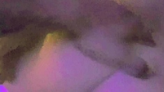 Amateur interracial hardcore sex