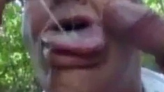 Daddy's Blowjob Lesson