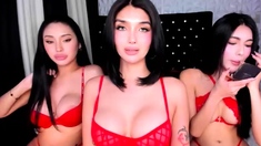 Big Tits Tranny Jerking Her Big Hard Cock