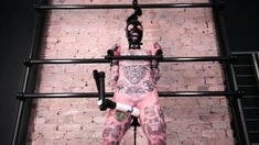 Locked Loaded Bondage