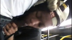 Brain's Blowjob On The Bus