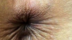 close up butthole winking