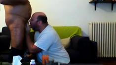 Chubby sucking daddy's dick